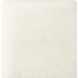 WC-616 Porcelain Cone 6 mid range clay - 25 lbs bag